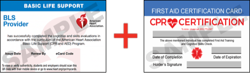First Aid CPR Classes San Antonio CPR Certification San Antonio