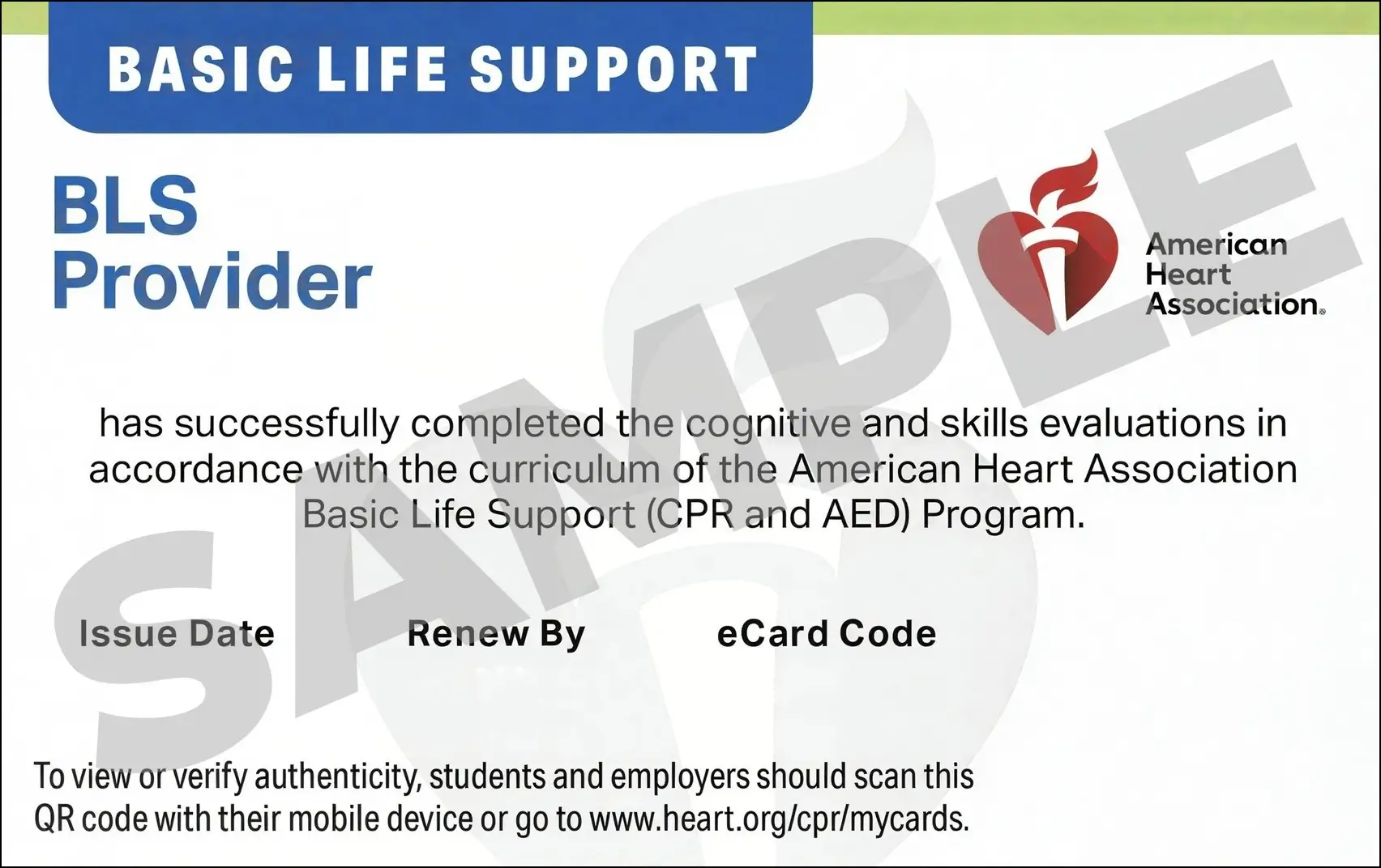Sample American Heart Association AHA BLS CPR Card Certification from CPR Certification San Antonio